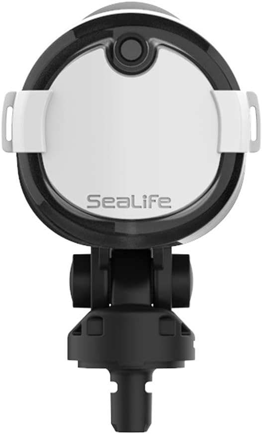 SeaLife Sea Dragon Duo Flash Set