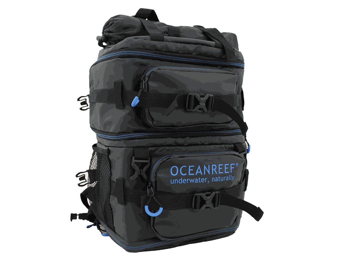Ocean Reef Neptune III Mask