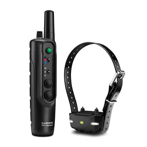 Garmin PRO 550