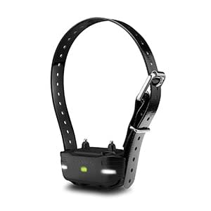 Garmin PRO 550